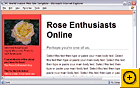 Preview Thumbnail for Rose Enthusiast 