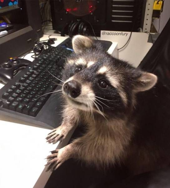 Yes? I'm busy woring on code... Yes? I'm busy working on code...