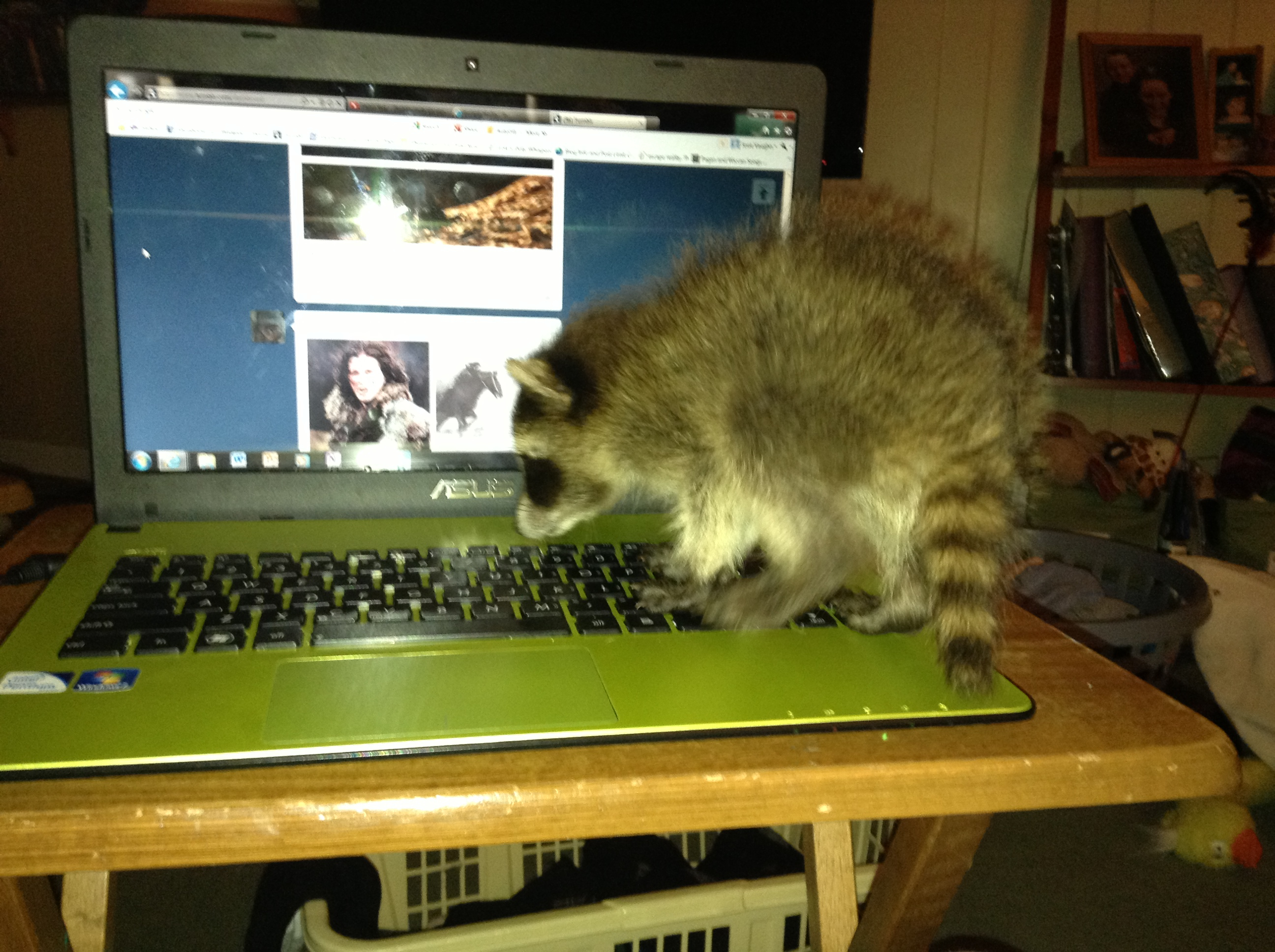 Hard at work designing web pages... Hard at work designing web pages...